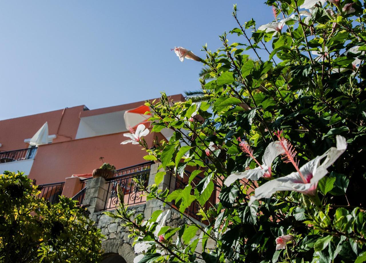 Alkion Aparthotel Exopoli ภายนอก รูปภาพ